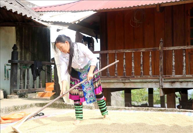 Người phụ nữ Mông học chữ “Cần” của Bác