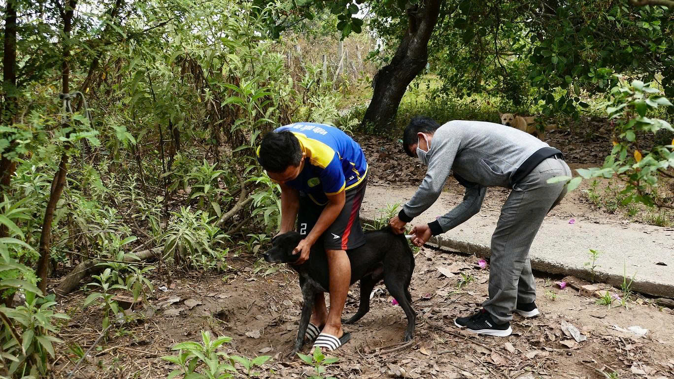 z7589561350874-1b682d76414c6a629eeb12b8f42aadd9