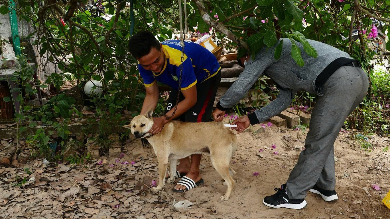 XÃ BUÔN ĐÔN TRIỂN KHAI TIÊM 1.200 LIỀU VẮC XIN PHÒNG BỆNH DẠI  CHO CHÓ, MÈO NĂM 2026
