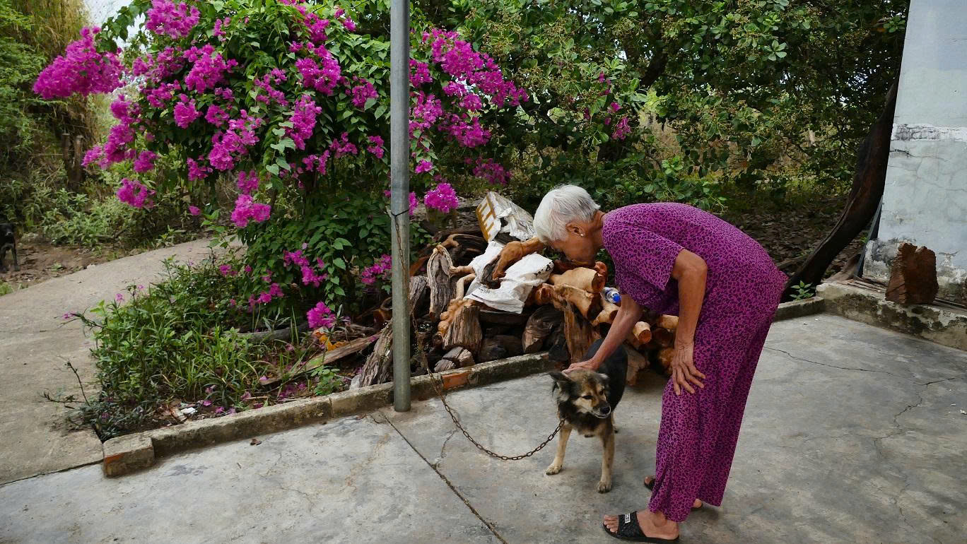 z7589561350930-93df97904778b53fbc02d1799751366b