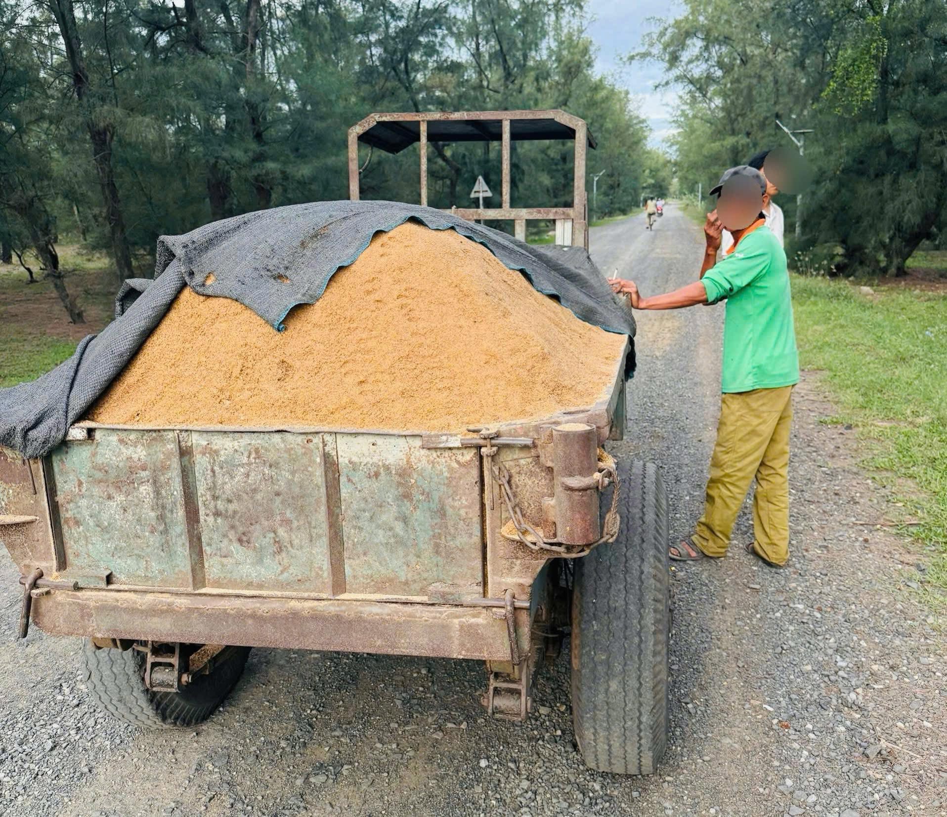 cat2609